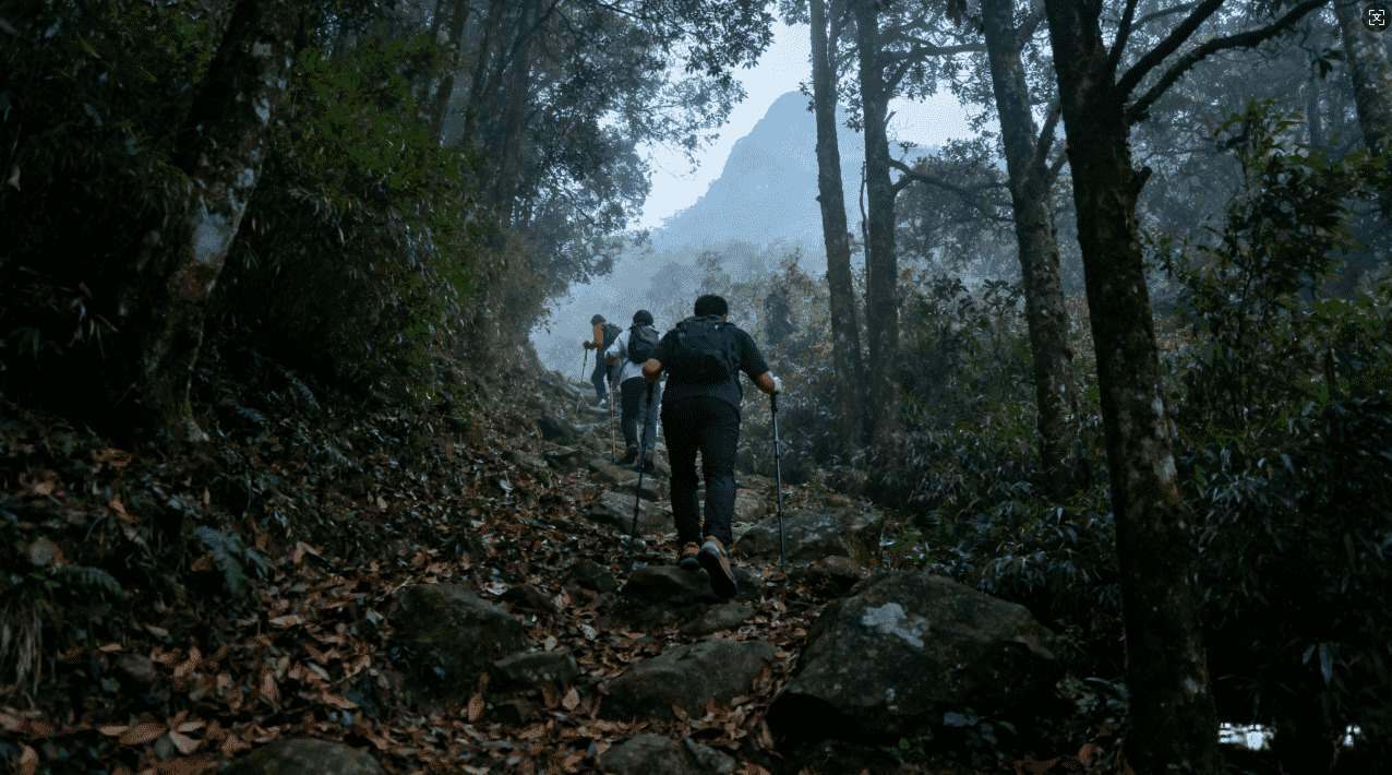 袋鼠加速器速度变慢，影响游戏连线的应对措施